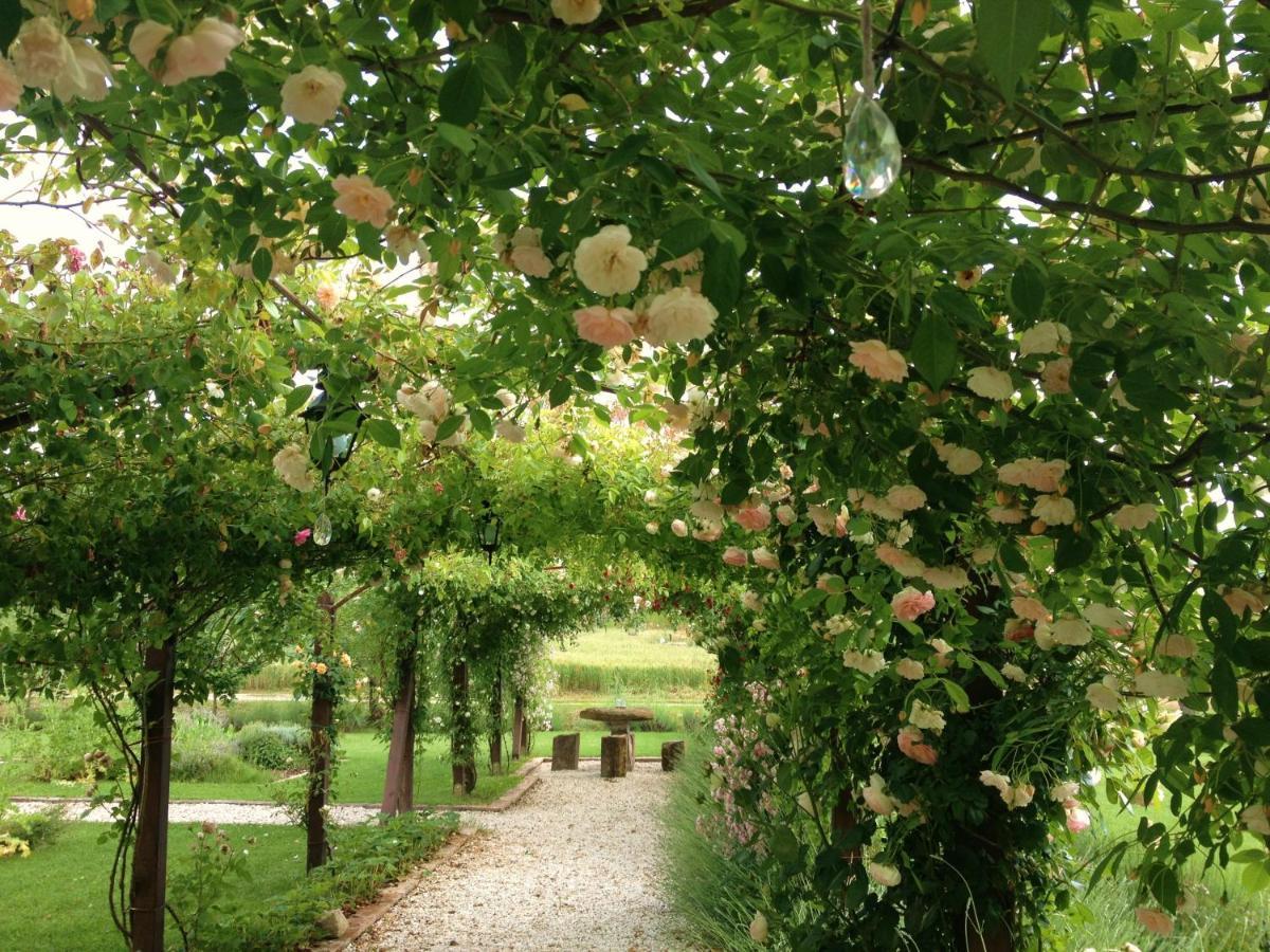 Abbazia Sette Frati Agriturismo Fratres Pietrafitta (Perugia) Quarto foto